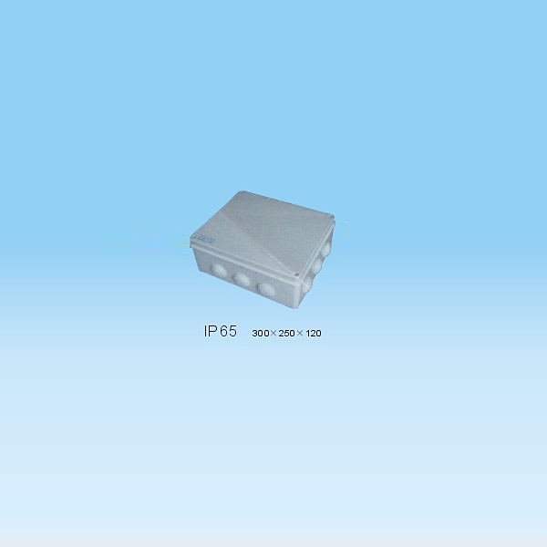 Weatherprotected Box-1j